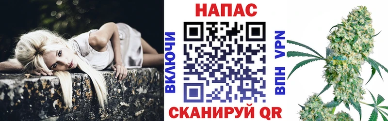 МЕФ Краснознаменск