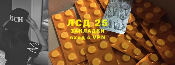 мдпв Костерёво