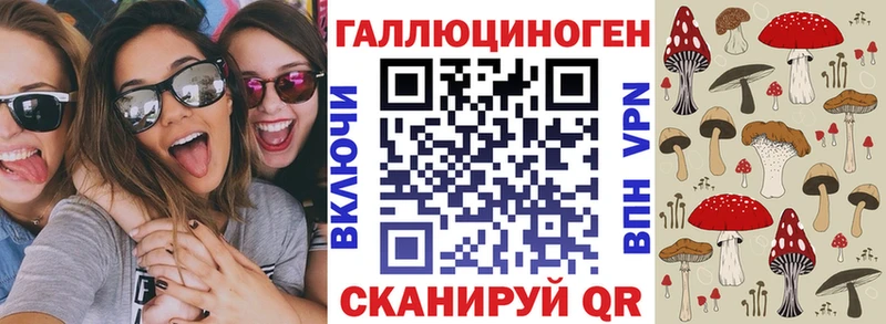 Галлюциногенные грибы мухоморы Купить закладки Краснознаменск